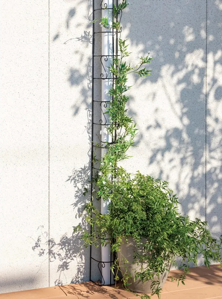 房顶侧边排雨水管,顶楼阳台雨水管在室内改道