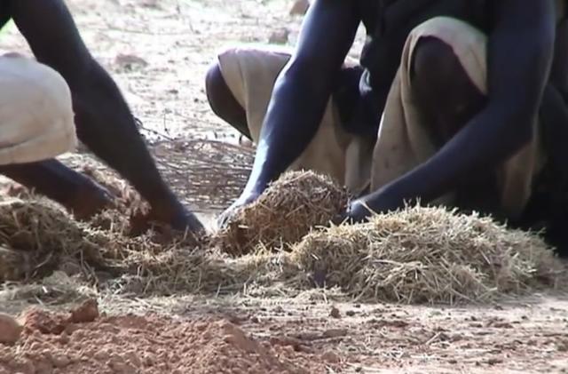 黑人跨入铁器时代的关键！揭秘两千年前的黑人冶铁术，包教不包会