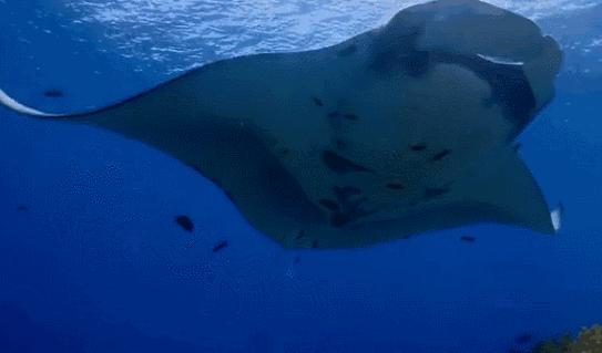 巴厘岛最垃圾的海滩,巴厘岛度假胜地