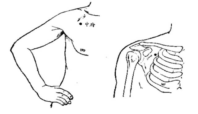 激活人体7个“生阳点”，等于给健康加油，能源源不断地产生.....