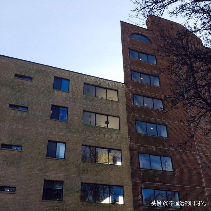 40张你不敢相信自己的眼睛的照片,10张让人怀疑眼睛的图片