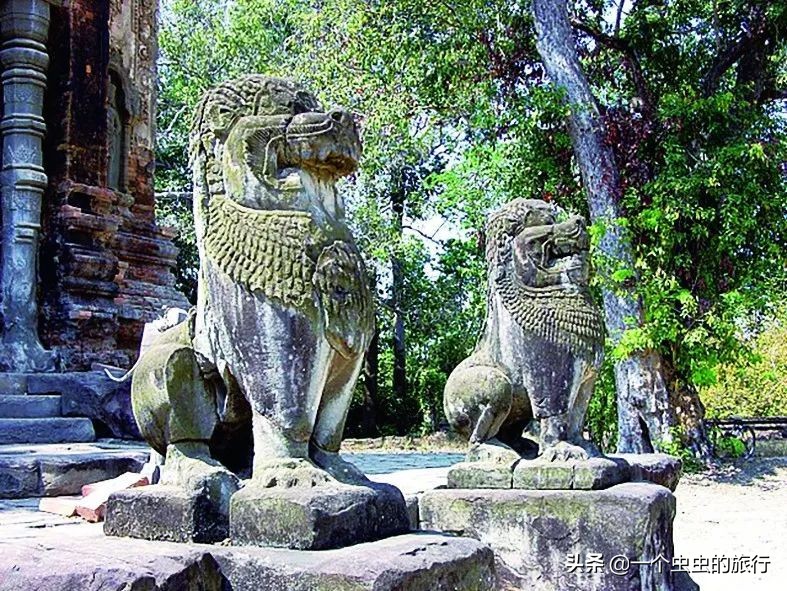 狮发源地,狮的由来