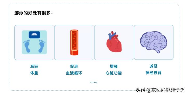 游泳有哪些好处视频,四种泳姿对身体的好处