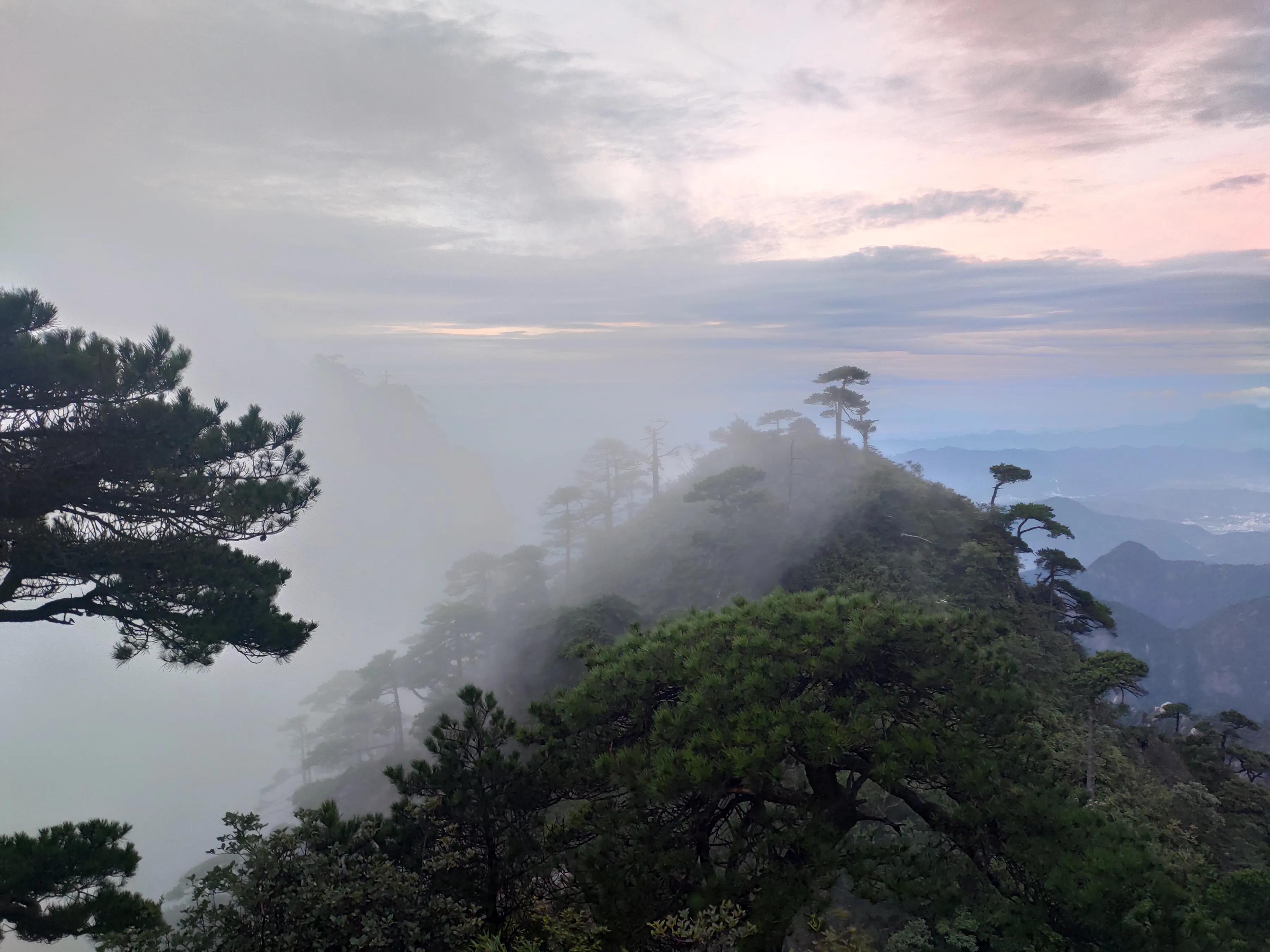 诈骗罪无罪辩护案例,诈骗罪二审改判的几率有多大