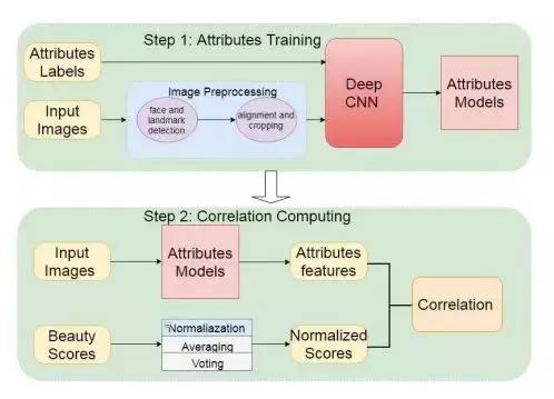 ai颜值有多高,ai偏见和歧视的区别