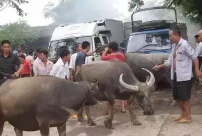 罗定农村人山人海,罗定人山人海