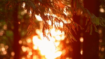 浅秋,落字为安,淡暖清欢