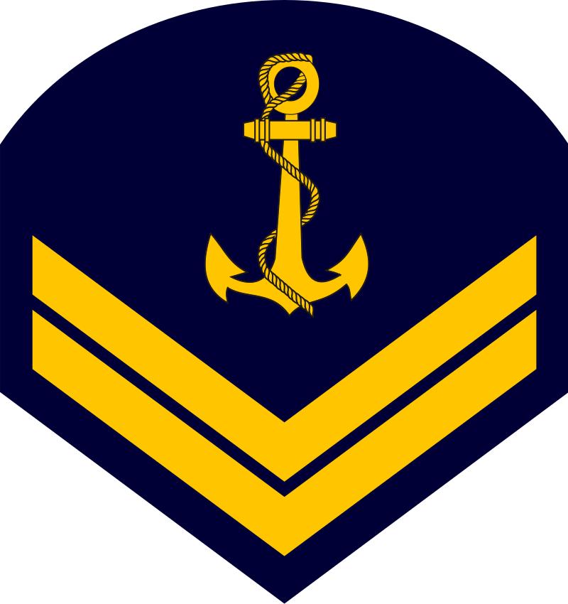 巴西军队标志,巴西海军军衔