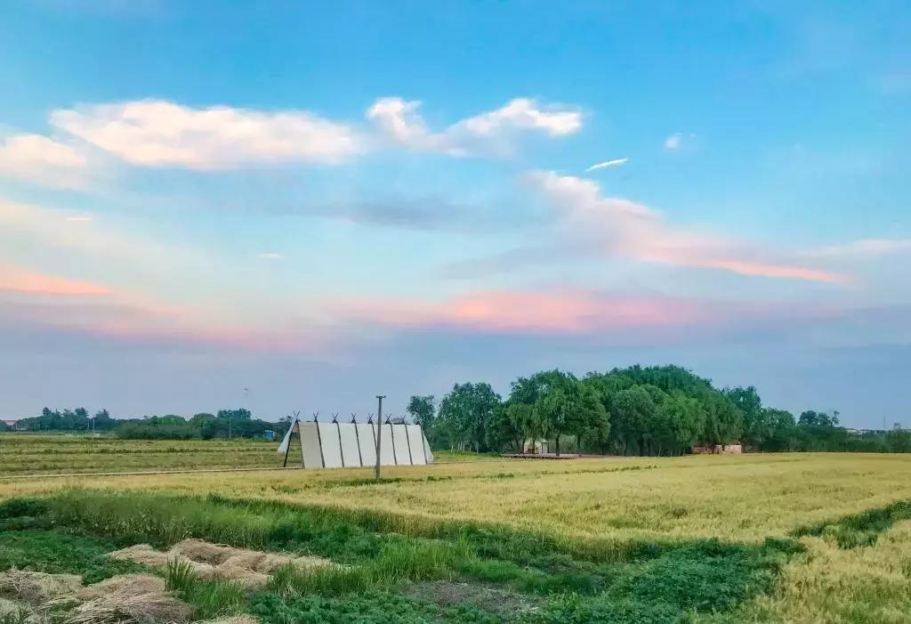 这处距上海1h的这个江南水乡，才是承载都市人田园梦的“理想村”