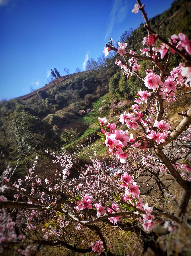 故事连载范文,故事连载小说完整版