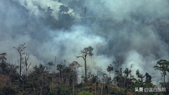 巴西总统对待疫情态度,巴西总统呼吁放弃防疫