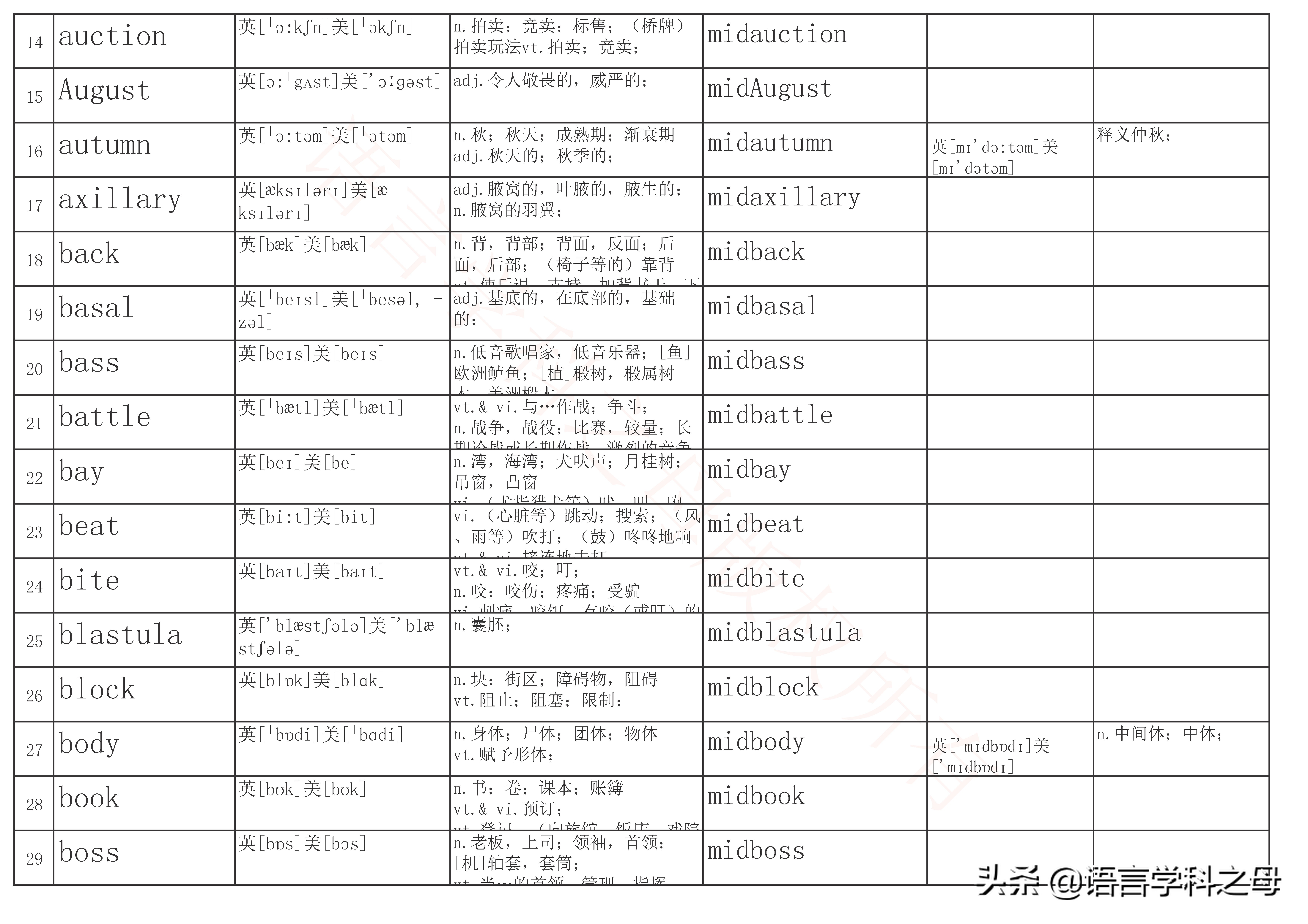 mid作前缀的单词大全,mid前缀的单词