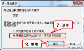 职场人必学的文件文件夹的加密隐藏操作,细节决定成败,升职必备