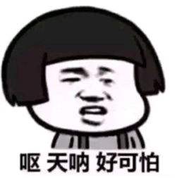 毛孔粗大暗黄适合什么牌子的水乳,雪花秀滋盈水乳套装适合哪个年龄