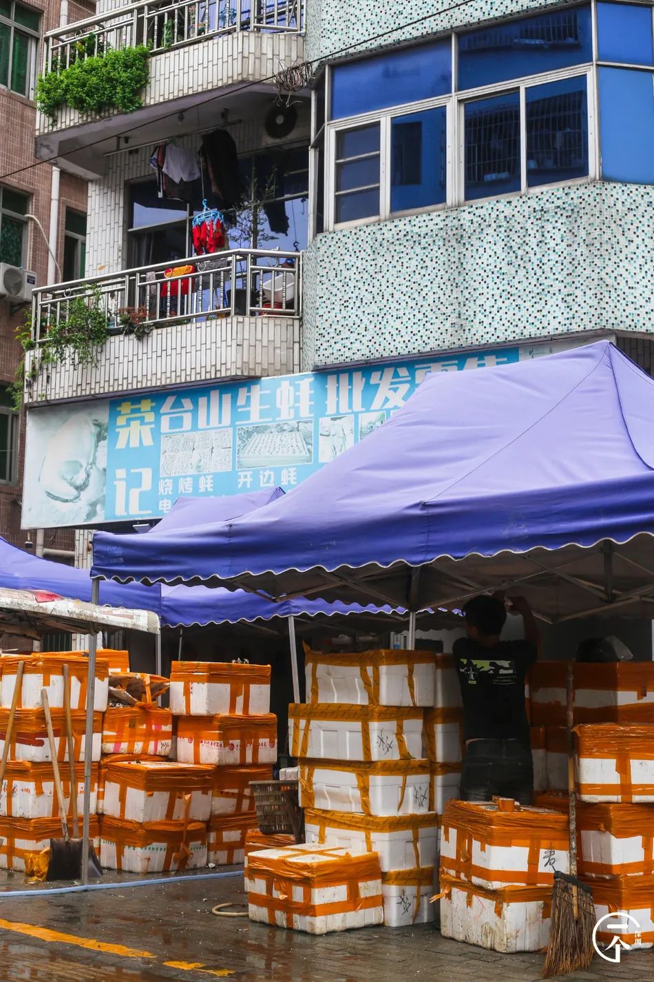 全深圳都要羡慕住在沙井的人,羡慕深圳有房的人