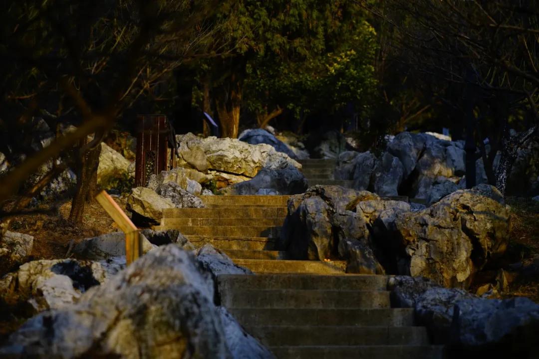 苏州西山有什么好的农家乐,苏州西山农家乐春节五日游