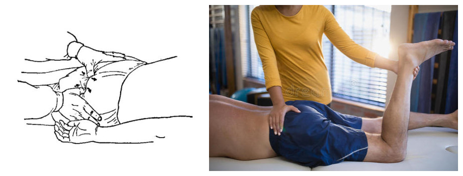 屁股骨头疼连带腿麻,屁股肌肉痛腿也肌肉疼是怎么回事