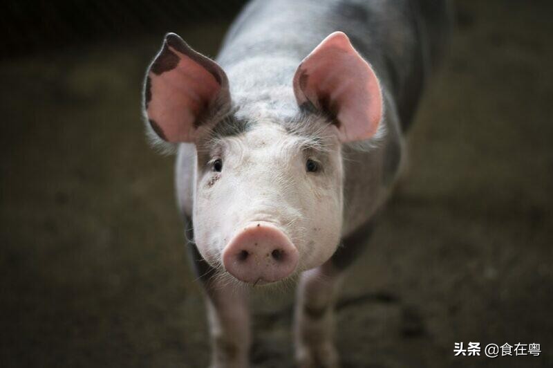 肉有腥味怎么去除最有效,怎样去肉的腥味和脏味