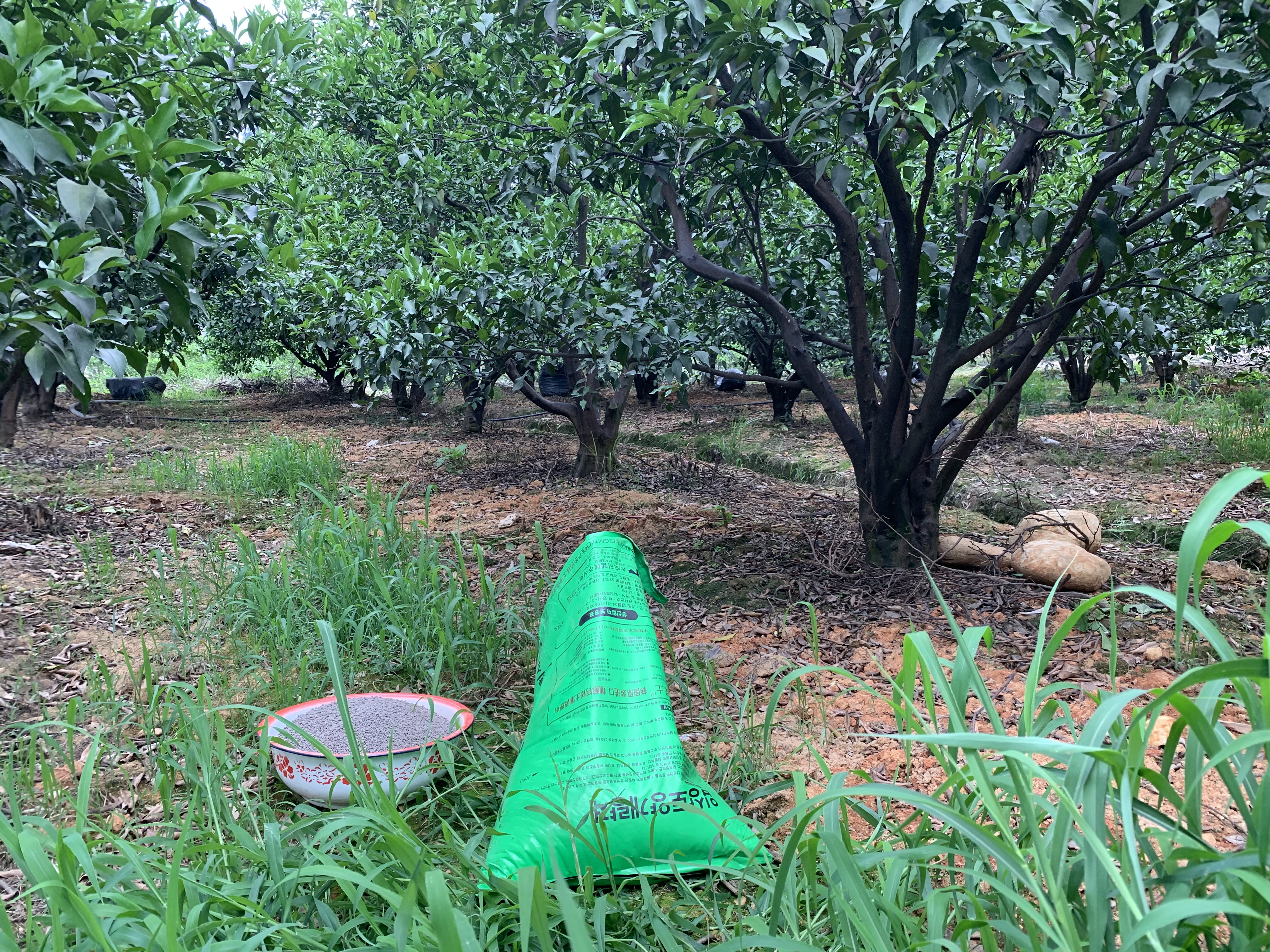 复合肥料怎样施肥效率好,复合肥料最佳使用方法