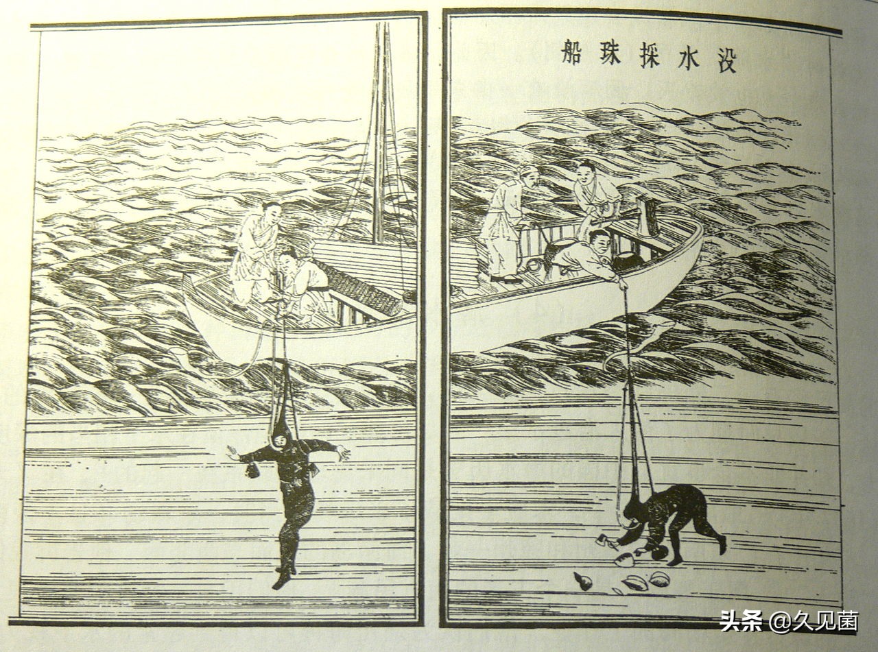 泰国男子海螺里吃出龙珠,泰国司机吃出橙色珠子