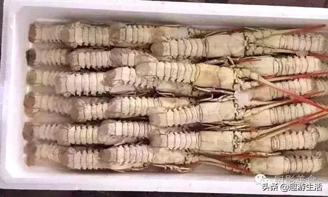 世界上的各种龙虾,世界上最大龙虾