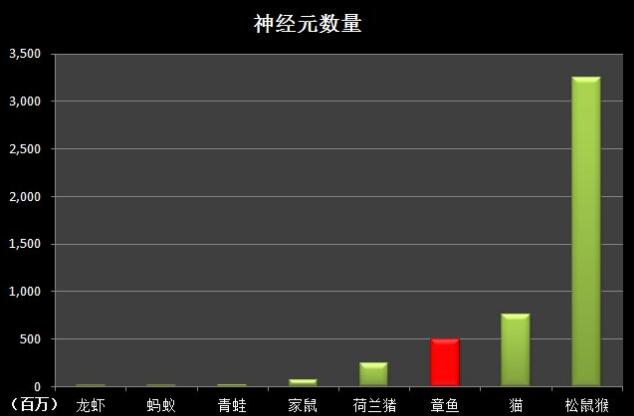 地球上非常奇特的十大生物,地球上奇特而古怪的生物
