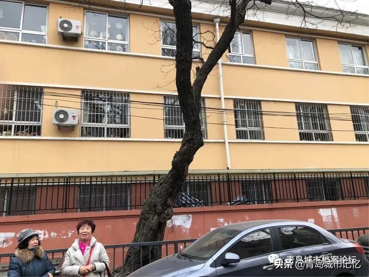 青岛临邑路小学,青岛市临邑路小学照片