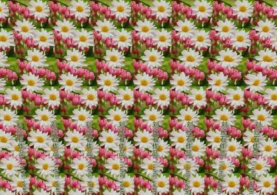 有意思的三维视频,三维立体图片大全