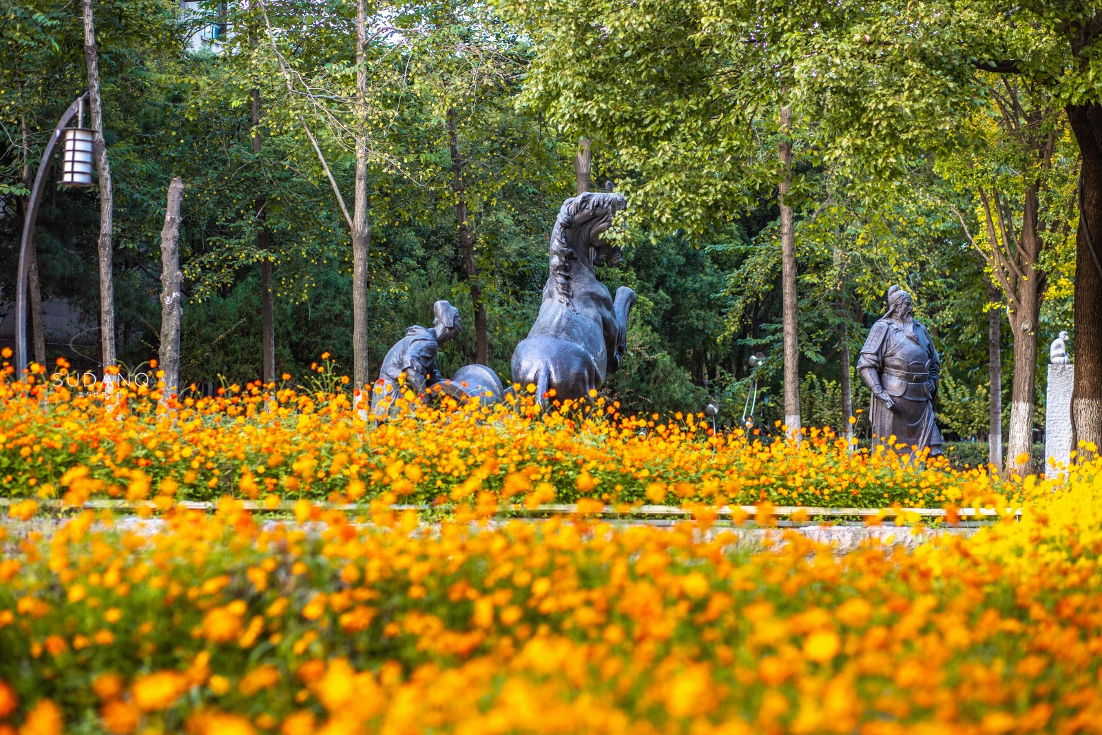 武汉太美了,汉江江滩景区