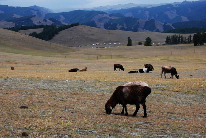 新疆哈密大动脉,新疆哈密重镇简介