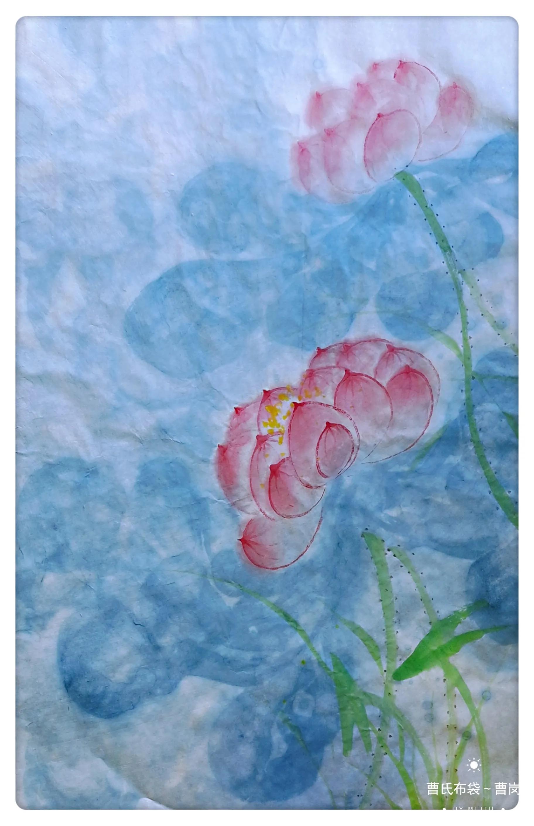 净土莲花~佛荷缘