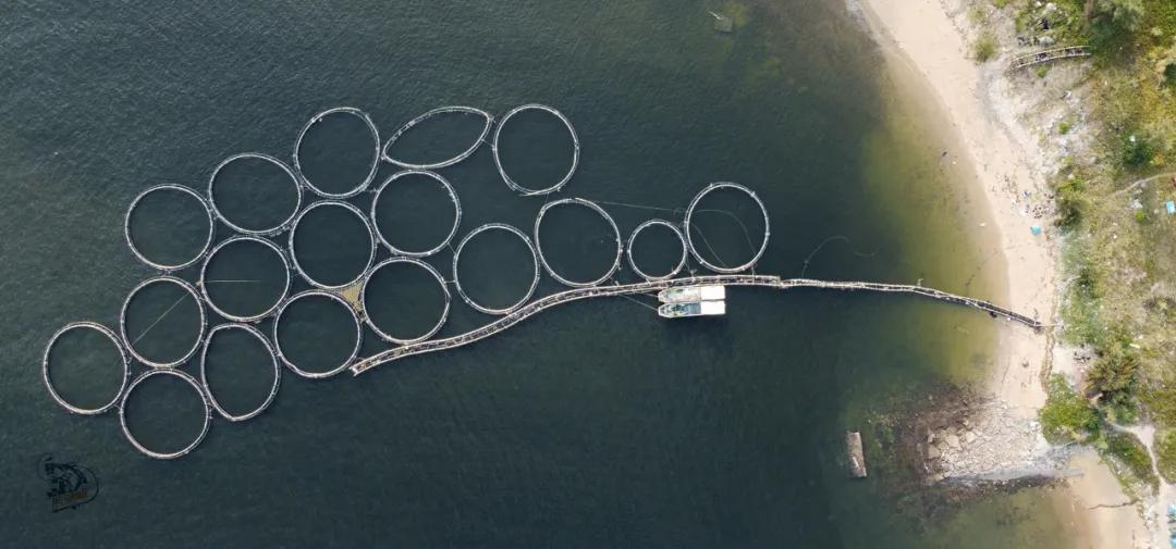 洞头海钓赶海最佳地点,阳江大镬岛矶钓点