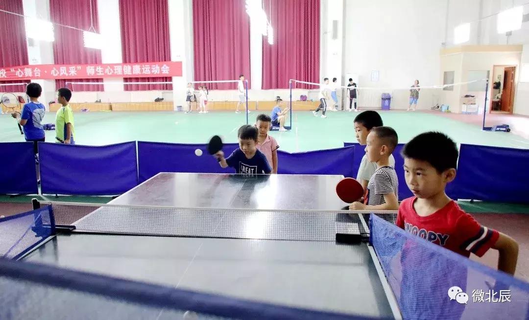 华辰学校荣誉背后的奥秘,我们都是追梦人高一