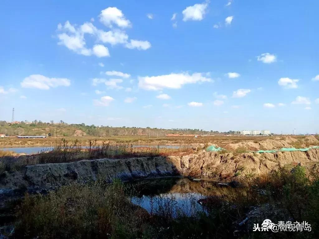 胶州经济开发区和少海片区对比,胶州经济技术开发区规划图