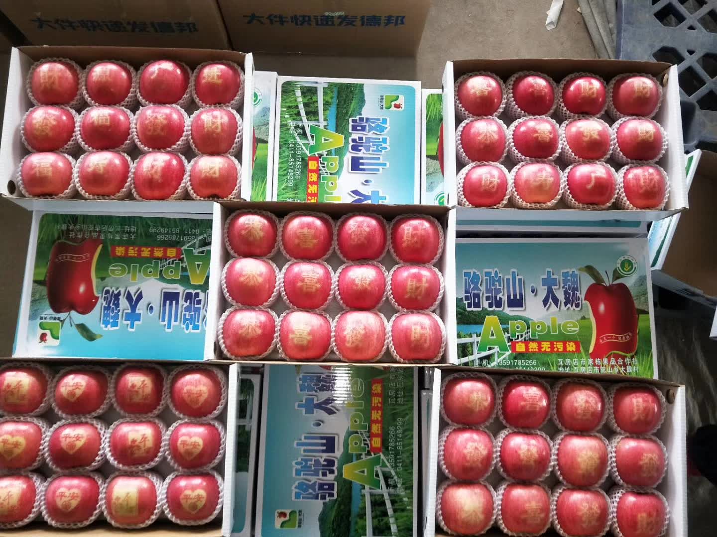 果农致富新模式,孙家栋自主创新