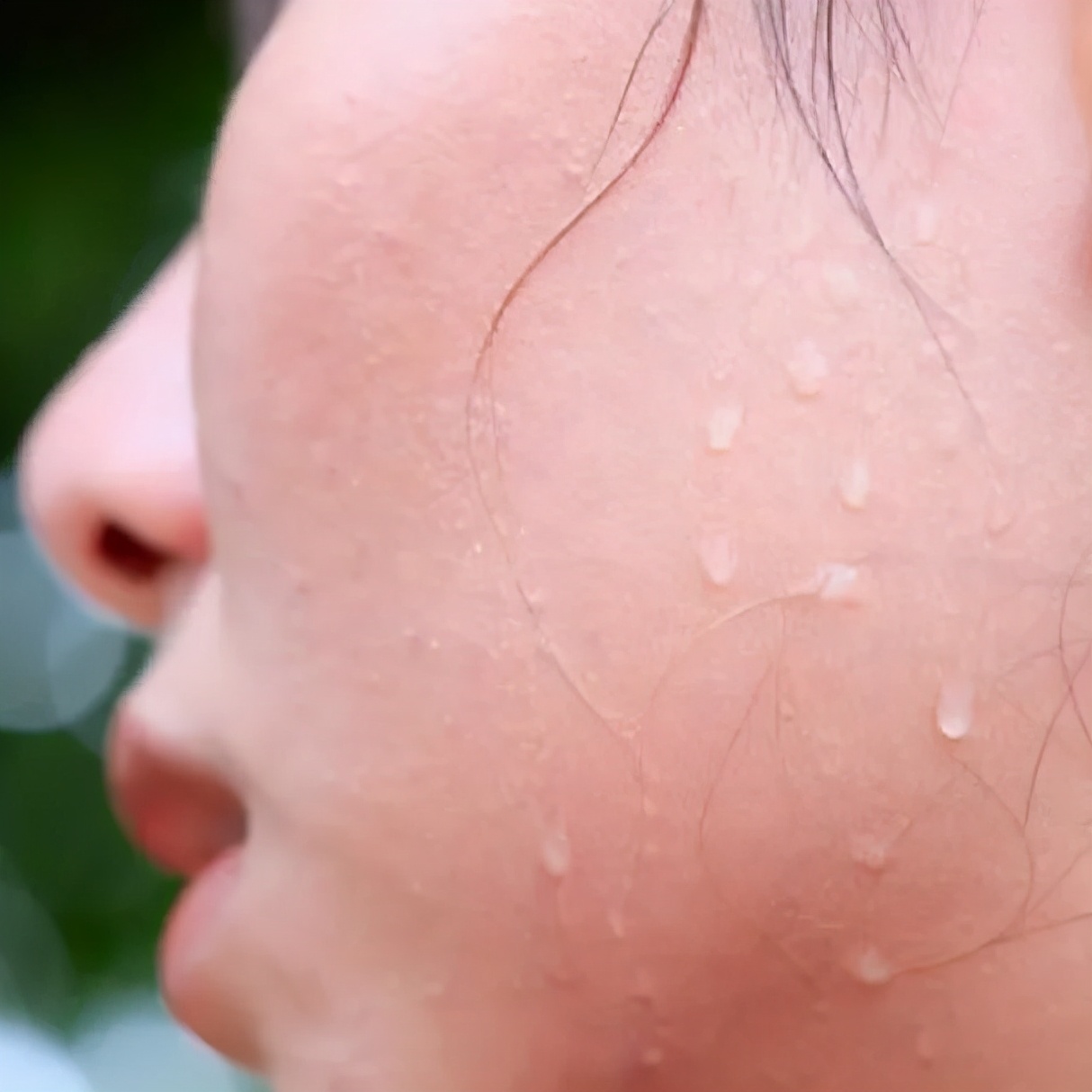 春天疏肝的茶有哪些牌子,春季养生煮茶疏肝理气配方大全