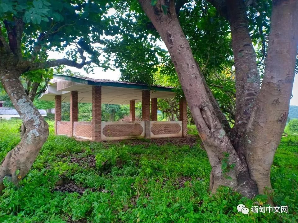 坤沙是怎么当上金三角老大的,金三角大毒枭坤沙传奇的一生