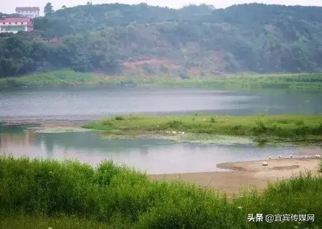 2块钱的轮渡坐出200块的感觉,宜宾2块钱的船