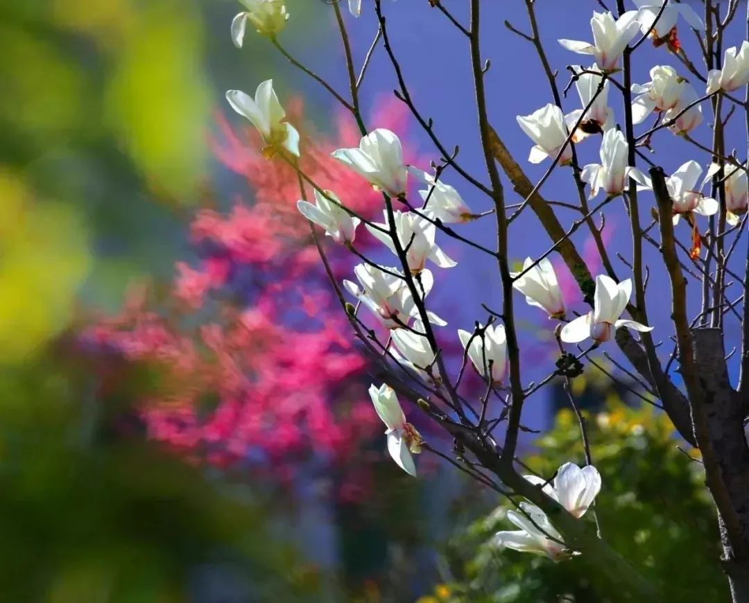 回归大自然享受田园,回归大自然享受大自然的馈赠