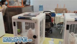 亚宠展2021年上海,亚宠展2019