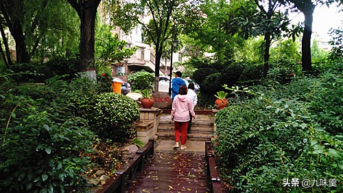 中国天然氧吧之城郑州,郑州周边森林氧吧