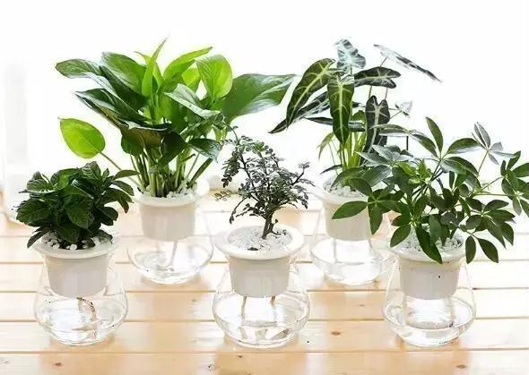 新房有甲醛怎么去除最有效,新房甲醛怎么去除最有效