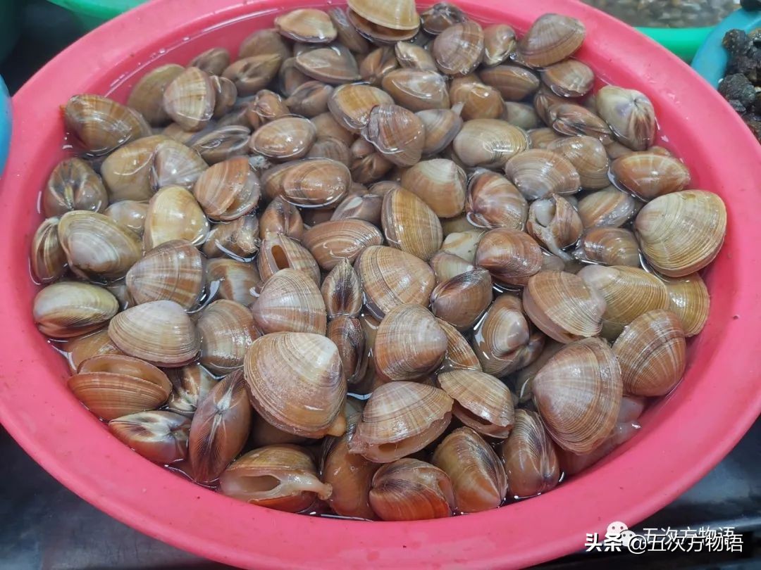 青岛海鲜市场价格表今日,青岛哪个农贸市场海鲜最便宜又好