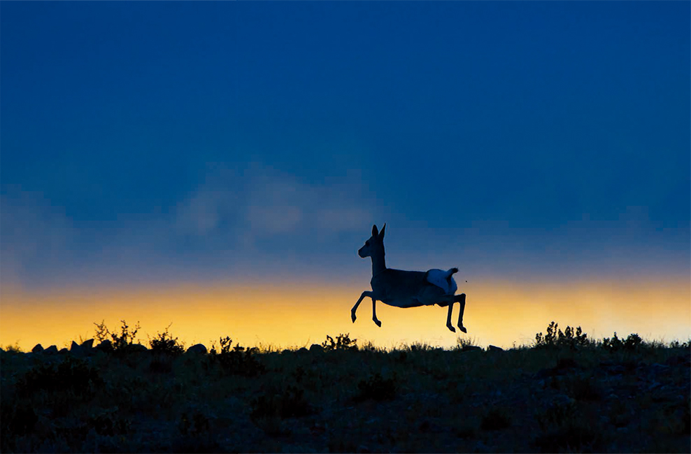 程斌摄影师,程斌摄影师作品