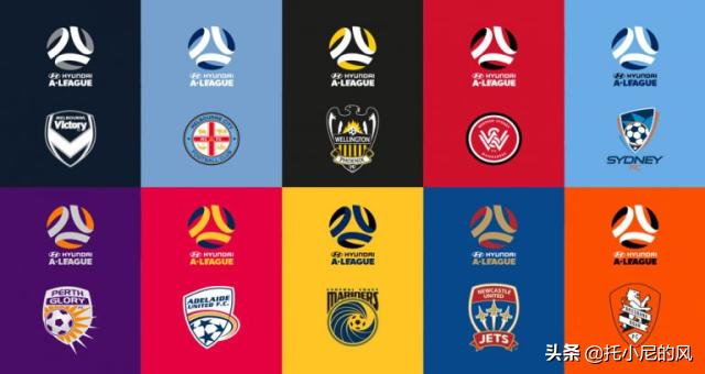 亚洲各国足球联赛,亚洲各国联赛