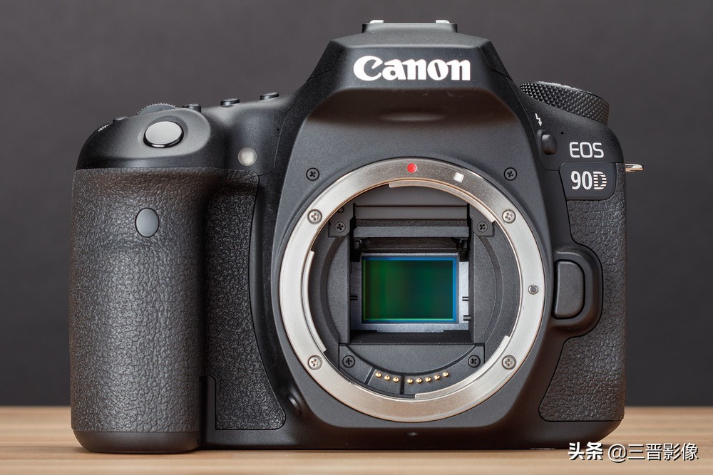 拍鸟用什么好,拍鸟视频用什么设备