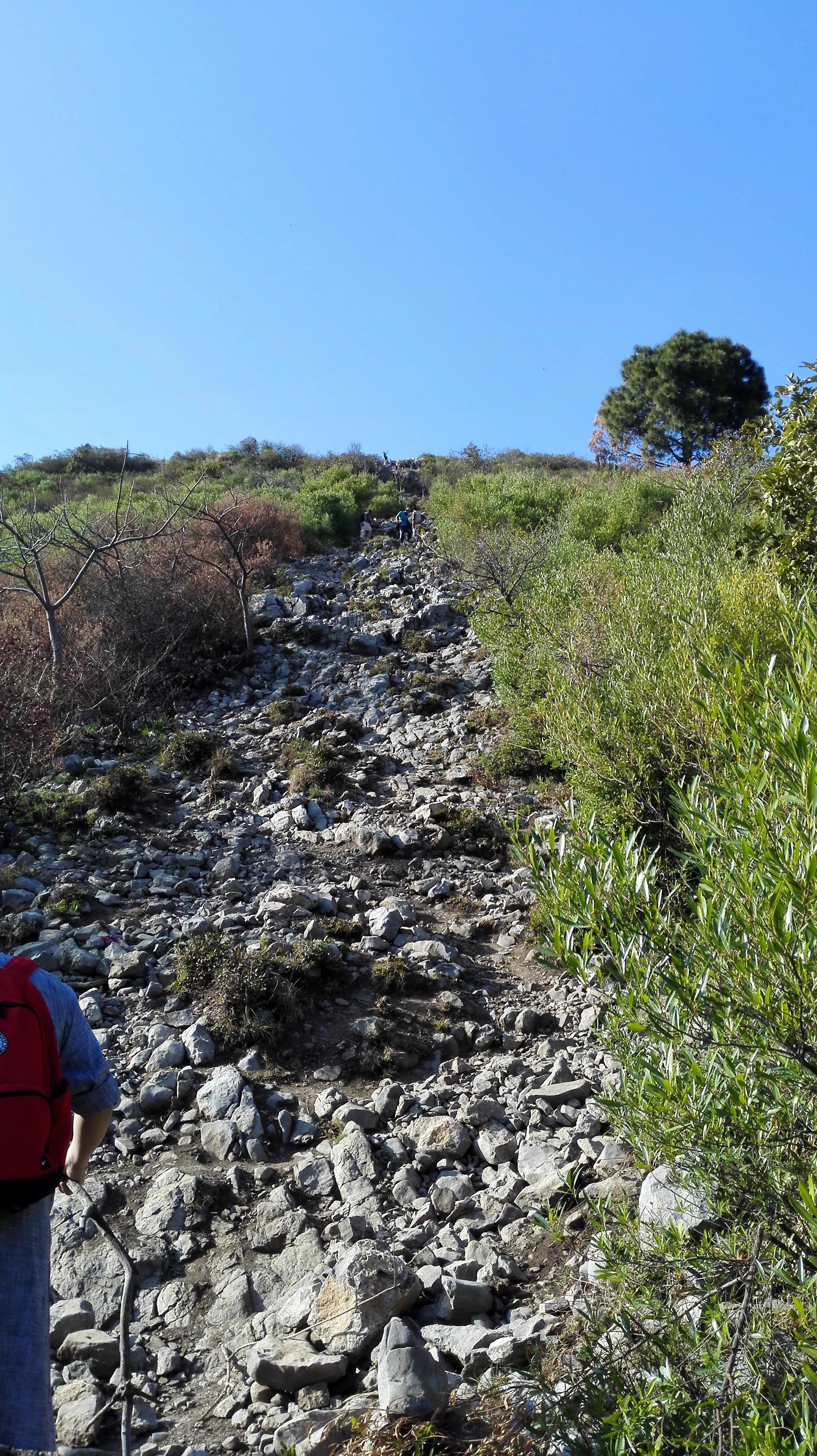 巴基斯坦女人嫁到中国,巴基斯坦的女人的地位