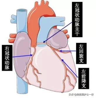急性心梗的紧急处理视频,一旦发现急性心梗如何救