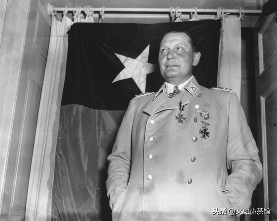 第三帝国元帅戈林的结局,帝国元帅戈林结局