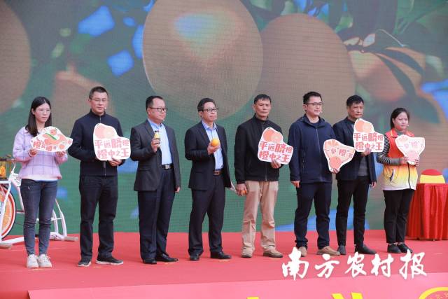 丰收节梅州,梅州丰收节高清图片